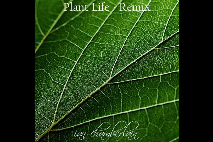 Plant Life REMIX - Download from iTunes, Stream from Spotify etc
