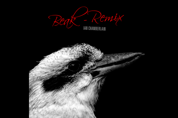 Beak REMIX - Download from iTunes, Stream from Spotify etc