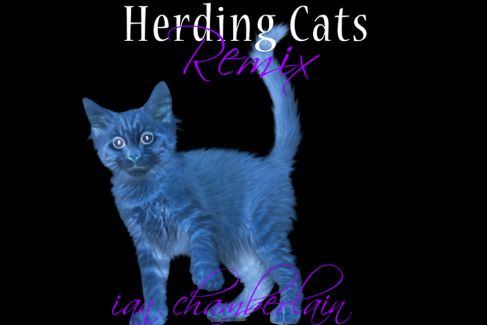 Herding Cats REMIX - Download from iTunes, Stream from Spotify etc